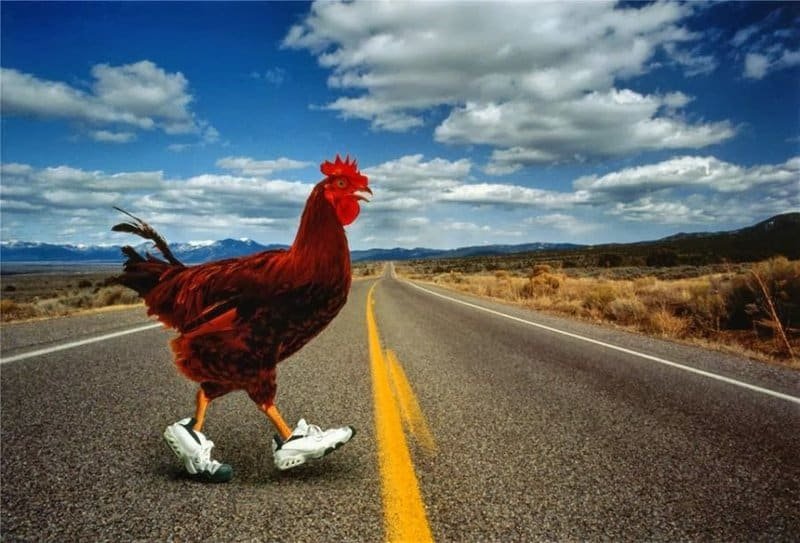 Descubre el Misterio de la Carretera de Pollo en España: Juego de Azar, chicken road oficial